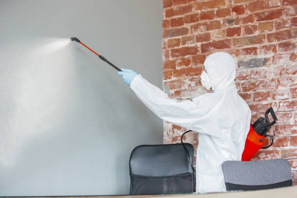 Mold Remediation for Vacation Homes in Murillo, TX