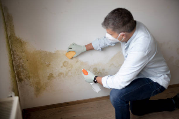 Mold Remediation for Vacation Homes in Murillo, TX