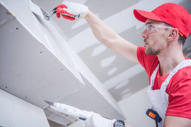 Asbestos and Lead Testing During Mold Inspection in Murillo, TX